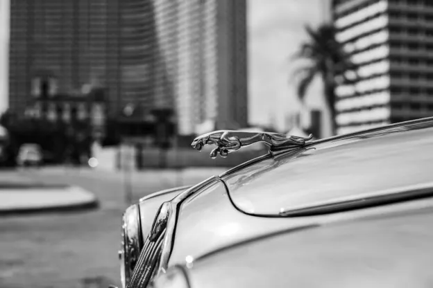 Kazoom Casino Application Android/iOS